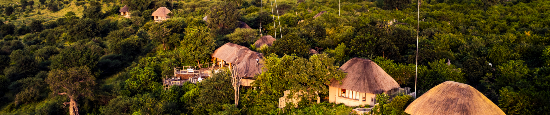 Machaba Ngoma Safari Lodge Wildlife Sightings May 2026 Banner Ngoma In The Afternoon