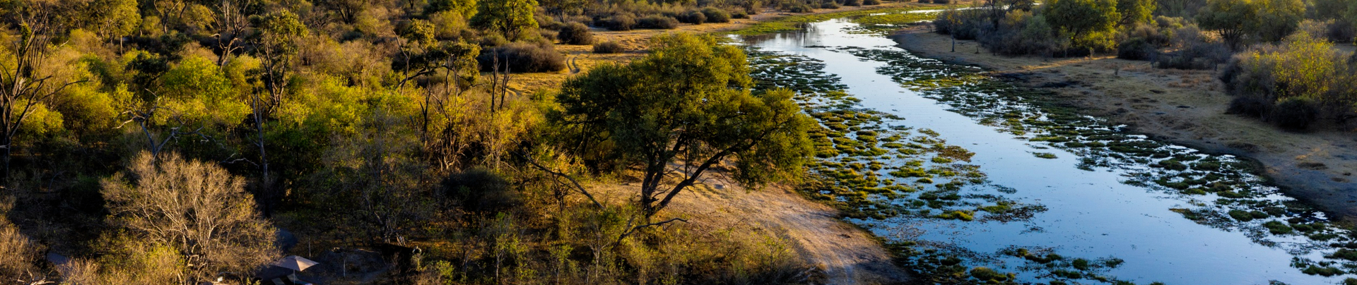 Machaba Camp Wildlife Sightings January 2025 Banner Camp
