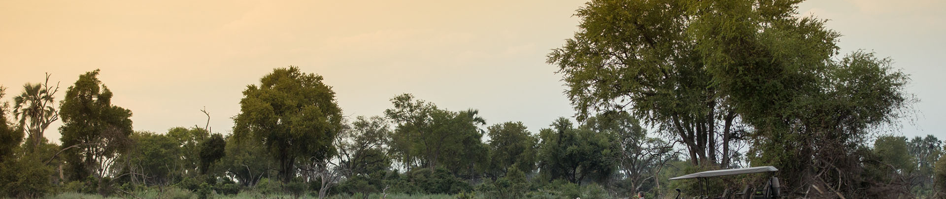 Machaba Botswana Welcome Back Home Banner 02