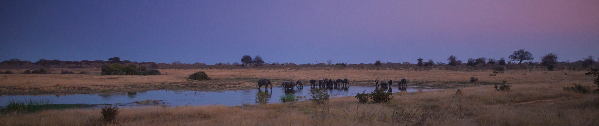 Zimbabwe Verneys Camp Sunset Banner Zimbabwe Verneys Camp Sunset Banner