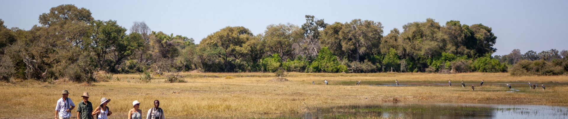 Machaba Gomoti Plains Sightings