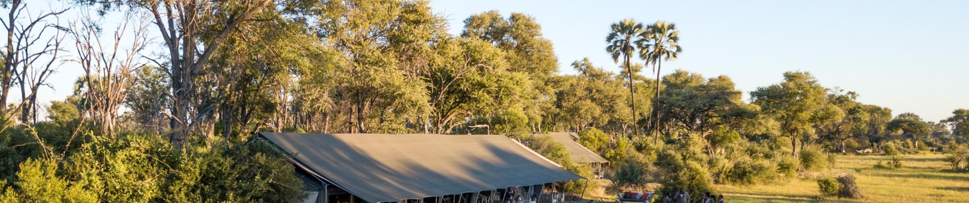 Machaba Botswana Okavango Delta Gomoti Plains Leopard Sightings July 2020 Banner Machaba Botswana Okavango Delta Gomoti Plains Leopard Sightings July 2020 Banner