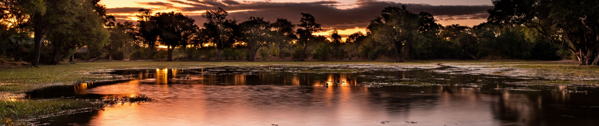 Zimbabwe Mana Pools Ingwe Pan