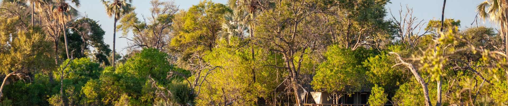 Gomoti Plains Guest Testimonial Banner