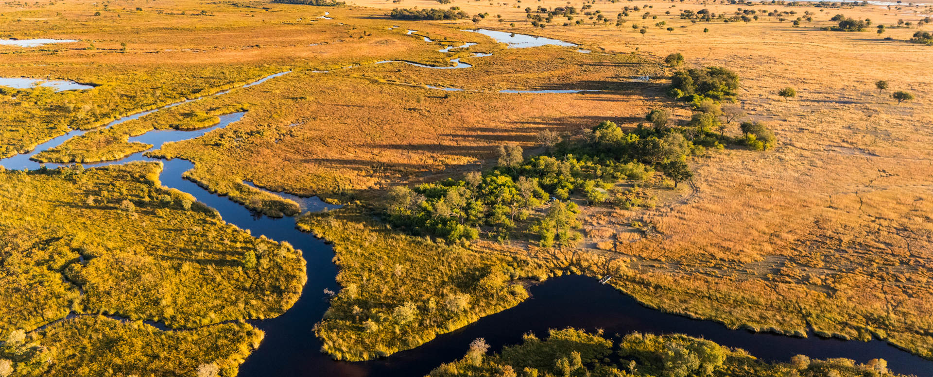 Machaba Web Agent Variety Terrains