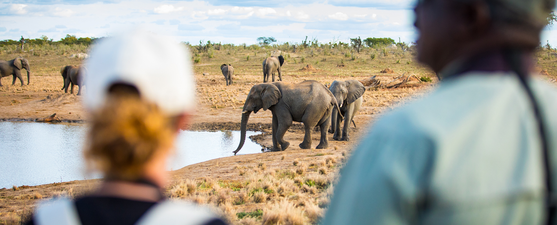 Machaba Zimbabwe Walking Safari Highlights Machaba Zimbabwe Walking Safari Highlights