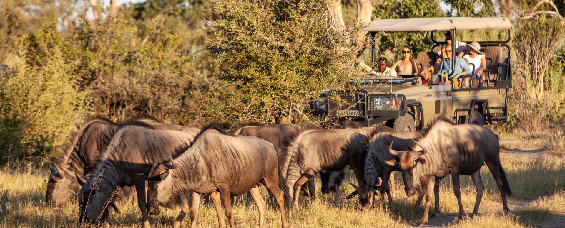 Machaba Gomoti Experience Safari Mvr 024