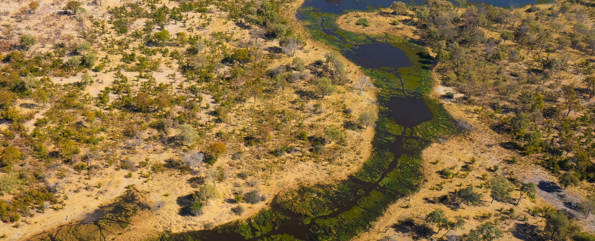 Machaba Camps 5 Machaba Camps 5