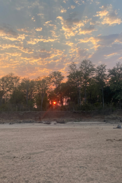 Zimbabwe   Mana Pools   Ingwe Pan   August Sightings 2021   Blue Mist