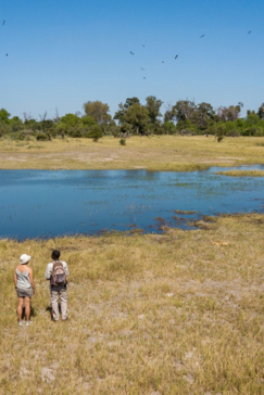 Safari Nala Okavango Delta Walking Safari