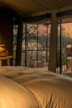 Our Safari Packages Kiri Camp Suite Machaba Safaris