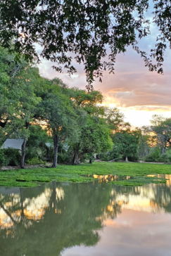 Ingwe Pan April Stories Banner