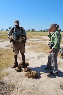 Verneys Camp Hwange Tracking Verneys Camp Hwange Tracking