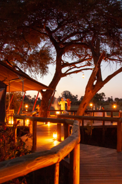 Machaba Safaris   Botswana   Okavango   Gomoti Plains   April   2022   Gomoti Plains Night Lights