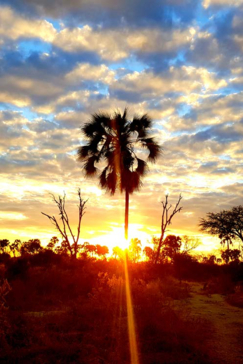 Machaba Botswana Okavango Delta Gomoti Plains Camp Sunset Sightings August 2017 Machaba Botswana Okavango Delta Gomoti Plains Camp Sunset Sightings August 2017