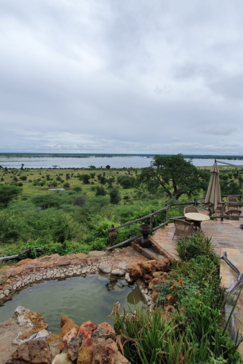 Machaba Botswana Chobe Ngoma Sighting March 2020 Gallery Plains