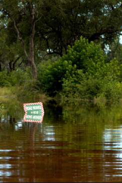 Machaba Botswana Okavango Delta Machaba River Sightings March 2017 Machaba Botswana Okavango Delta Machaba River Sightings March 2017