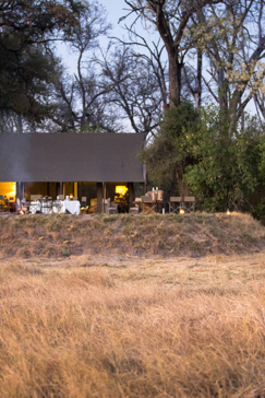 Machaba Botswana Okavango Delta Little Machaba Camp Lion 2018