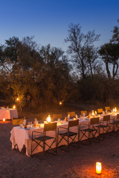 On Safari Nala Episode 16 Giraffe Napkin Gallery Dining On Safari Nala Episode 16 Giraffe Napkin Gallery Dining