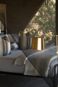 Botswana   Machaba Camp   Little Machaba