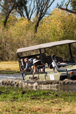 Machaba Safaris   Botswana   Ngoma Safari Lodge   Gallery Game Drive Machaba Safaris   Botswana   Ngoma Safari Lodge   Gallery Game Drive