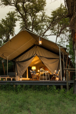 Machaba Safaris   Botswana   Okavango   Gomoti Plains   April   2022   Gomoti Plains Room
