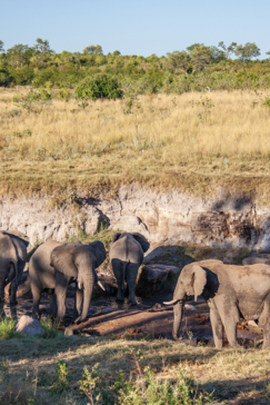 Zimbabwe   Hwange   National   Park   Deteema Springs   View Of Pan And Elephants Zimbabwe   Hwange   National   Park   Deteema Springs   View Of Pan And Elephants