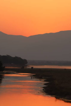 Willdife Sightings Mana River Camp Zimbabwe September 2024 Sunset