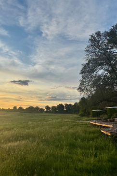 Botswana Okavango Delta Kiri Camp Wildlife Sightings February 2025 Camp.jpeg
