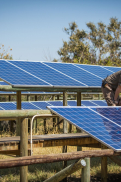 Machaba Botswana Zimbabwe Ultimate Safari Destination Wild Africa