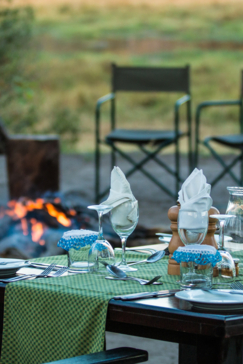 On Safari Nala Episode 16 Giraffe Napkin Gallery Napkin On Safari Nala Episode 16 Giraffe Napkin Gallery Napkin