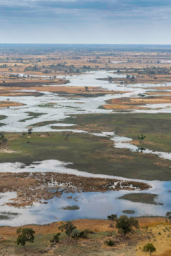 Botswana Okavango Delta Kiri Camp Wildlife Sightings February 2023   The Okavango Delta