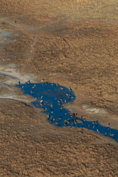 Mike Myers Monachira  June 2024 42