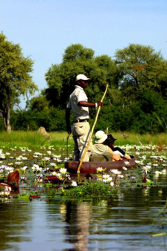 Machaba Botswana Okavango Delta Machaba Camp Mokoro Sightings April 2017
