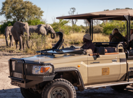Machaba Machaba Experience Safari Mvr 096 Machaba Machaba Experience Safari Mvr 096