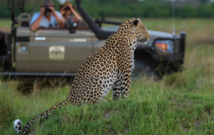 Machaba Web Our Story Safari Wildlife