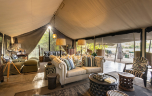 Machaba Web Our Story Machaba Lounge