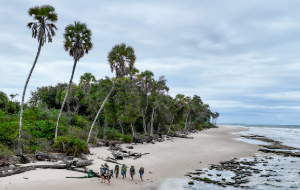 Machaba Wild Machaba Wild Activities Coastal Walk Aerial