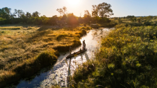 A mokor moves through a Okavango Delta waterway at sunset