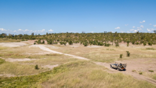 Game Drive at Deteema Springs Camp