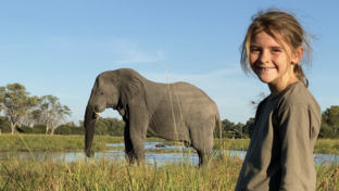 Machaba Botswana On Safari Nala Banner Image Machaba Botswana On Safari Nala Banner Image