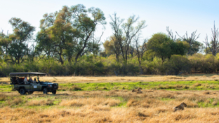 Machaba Camp Accommodation Machaba Camp Accommodation