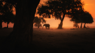 Machaba Zimbabwe Mana Pools Ingwe Pan Landscape Machaba Zimbabwe Mana Pools Ingwe Pan Landscape