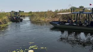 Machaba Monachira Camp Wildlife Sightings October 2025 Okavango Delta River Cruise