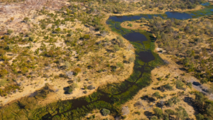 Machaba Gomoti Plains Camp Wildlife Sightings May 2025 Beautiful Okavango Delta River System Machaba Gomoti Plains Camp Wildlife Sightings May 2025 Beautiful Okavango Delta River System