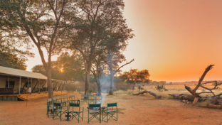 Machaba Safaris   Zimbabwe Safaris   Verneys Camp   Wildlife Stories   Aug 2022   Banner   Verneys View Machaba Safaris   Zimbabwe Safaris   Verneys Camp   Wildlife Stories   Aug 2022   Banner   Verneys View