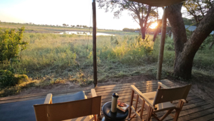 Verneys Camp Hwange Tent View