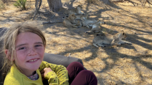 Machaba Botswana On Safari Nala Watching Lions