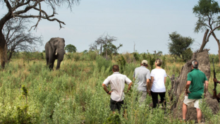 Botswana Gomoti Plains Banner