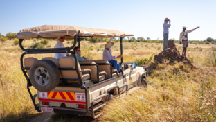 Deteema Springs Game Drive Deteema Springs Game Drive